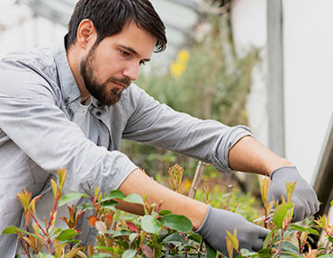 garden-care garden-care